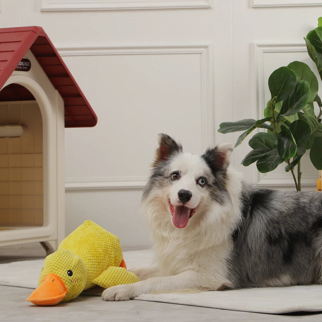 Calming Duck - Interactive Dog Toy