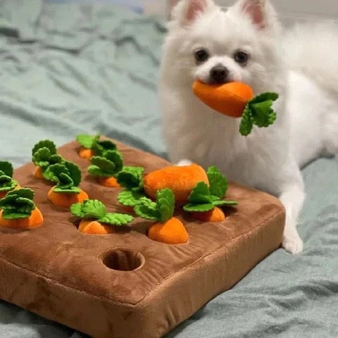 Carrot Garden - Plush Dog Toy
