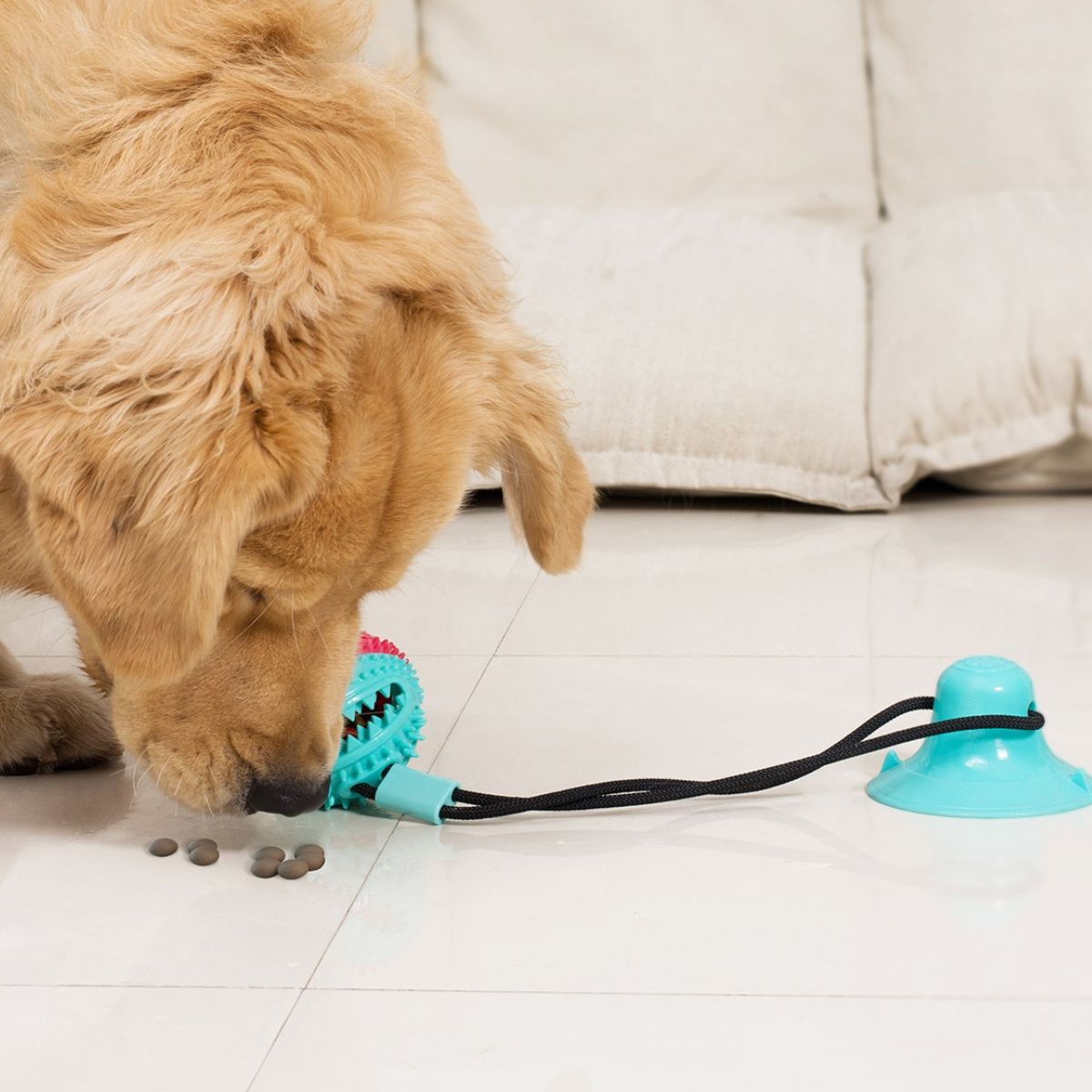 Chewy Ball - Dog Tug Toy