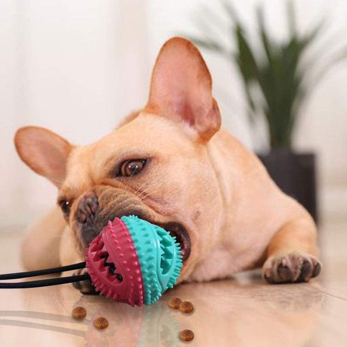 Chewy Ball - Dog Tug Toy