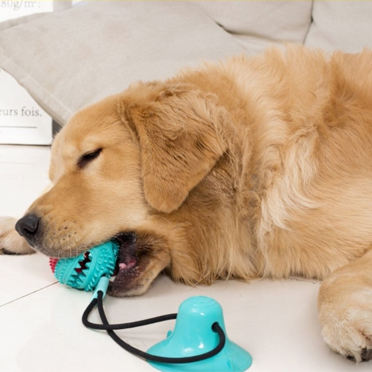 Chewy Ball - Dog Tug Toy