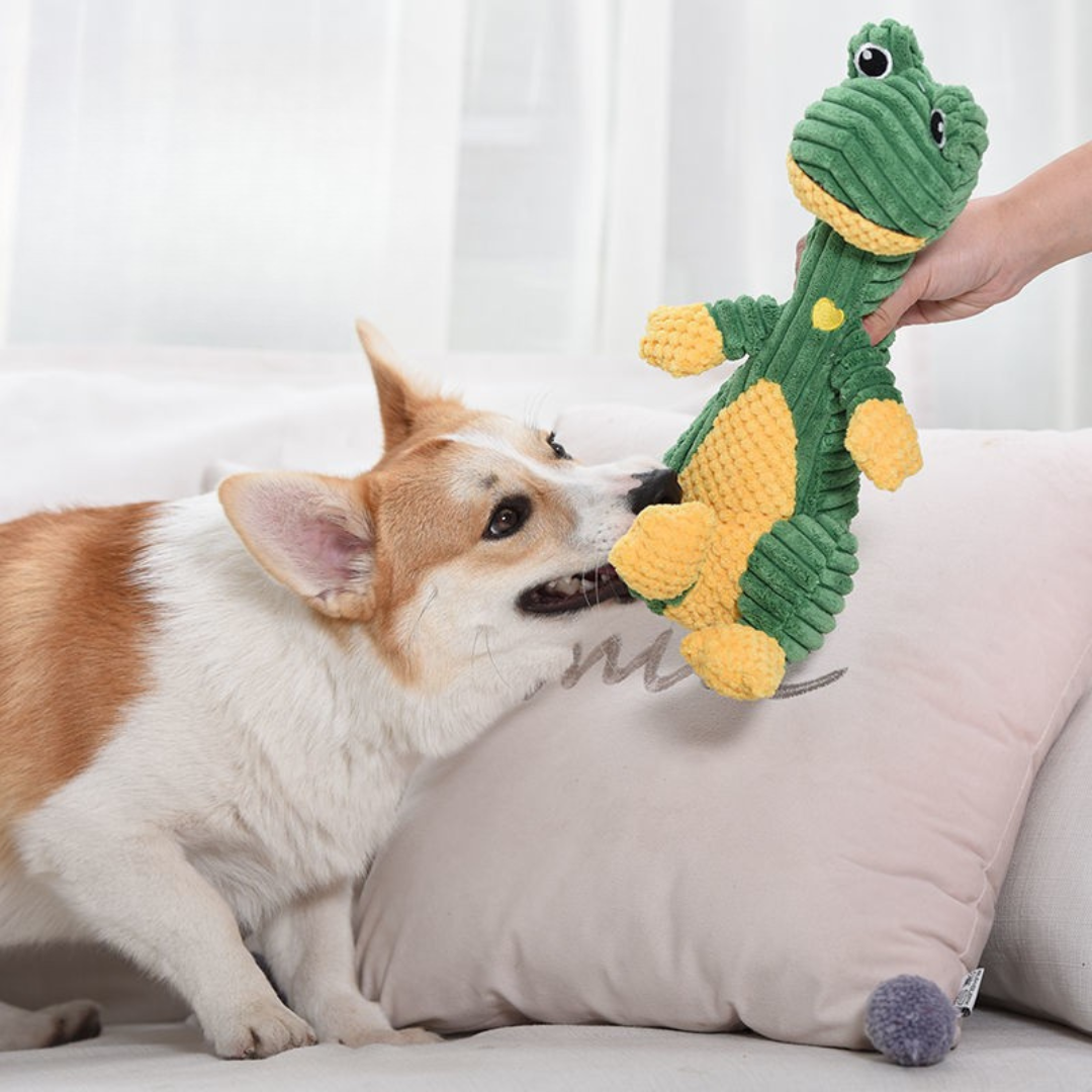Chewy - Designed for Strong Chewers