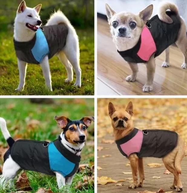 Comfortable Dog Coat - Warm & Waterproof