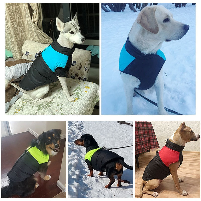 Comfortable Dog Coat - Warm & Waterproof
