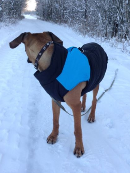 Comfortable Dog Coat - Warm & Waterproof