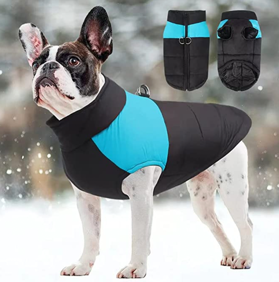 Comfortable Dog Coat - Warm & Waterproof