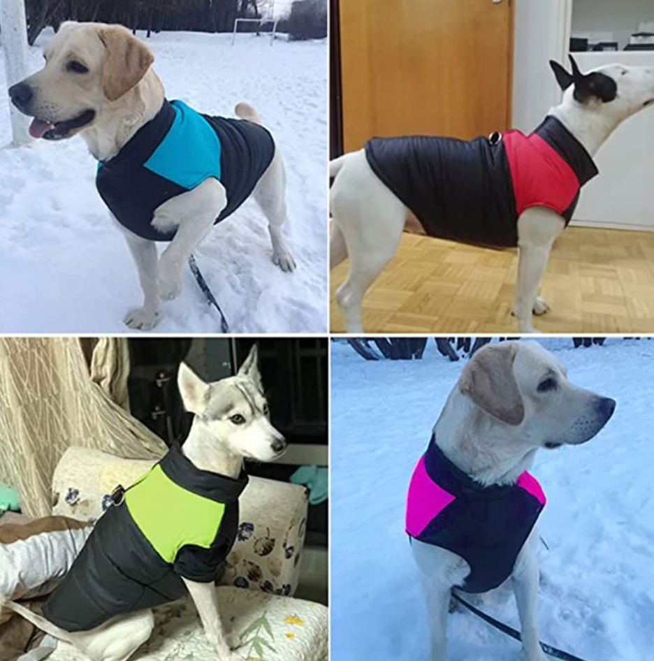Comfortable Dog Coat - Warm & Waterproof