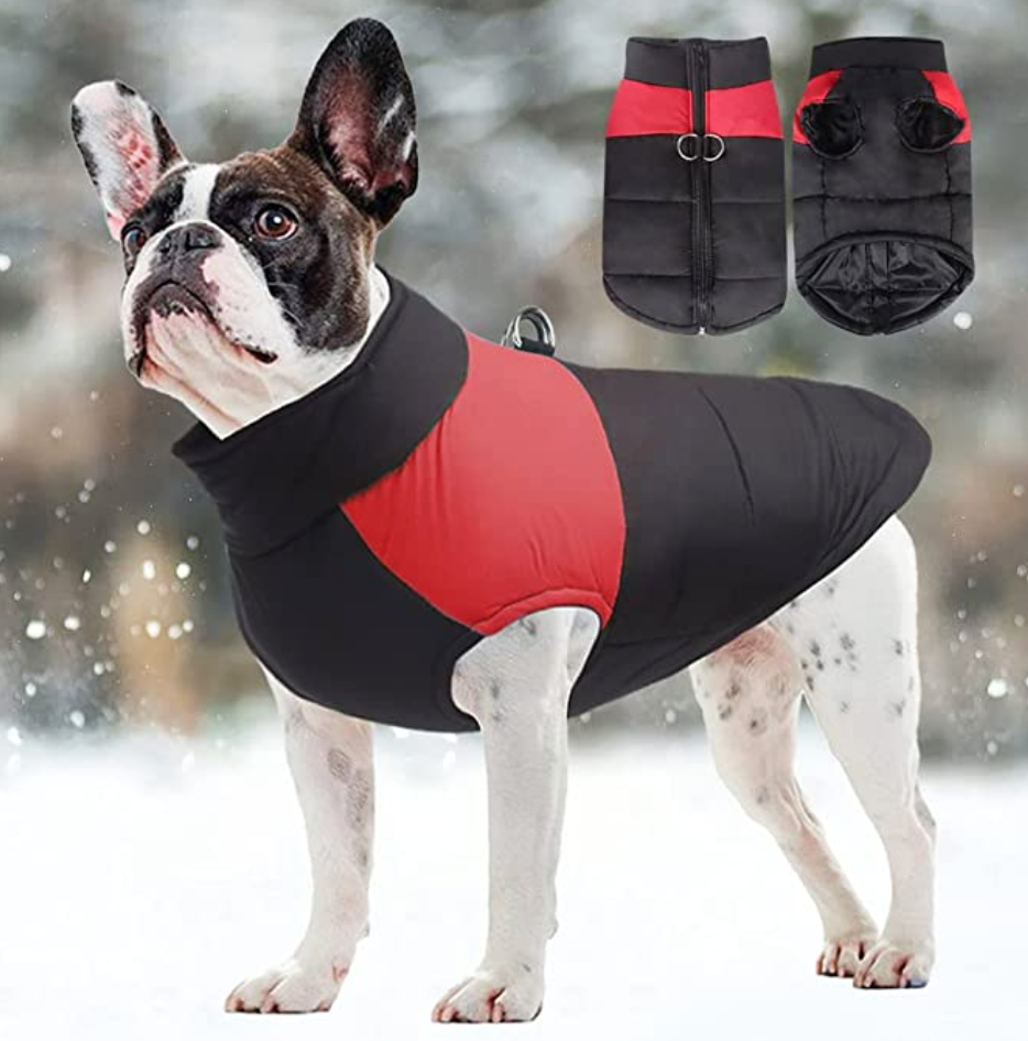 Comfortable Dog Coat - Warm & Waterproof