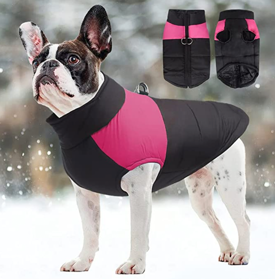Comfortable Dog Coat - Warm & Waterproof