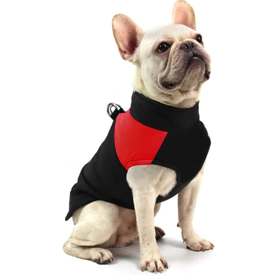 Comfortable Dog Coat - Warm & Waterproof