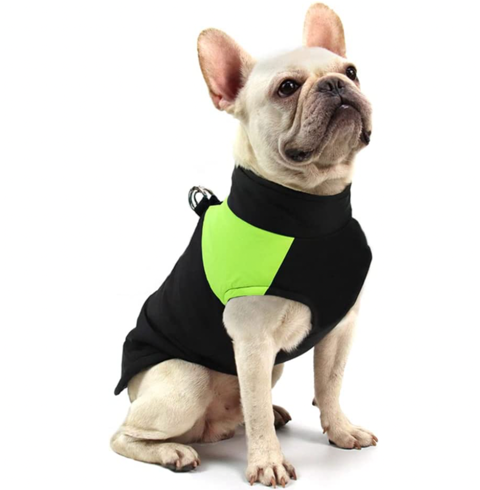 Comfortable Dog Coat - Warm & Waterproof