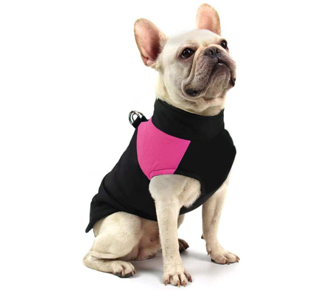 Comfortable Dog Coat - Warm & Waterproof