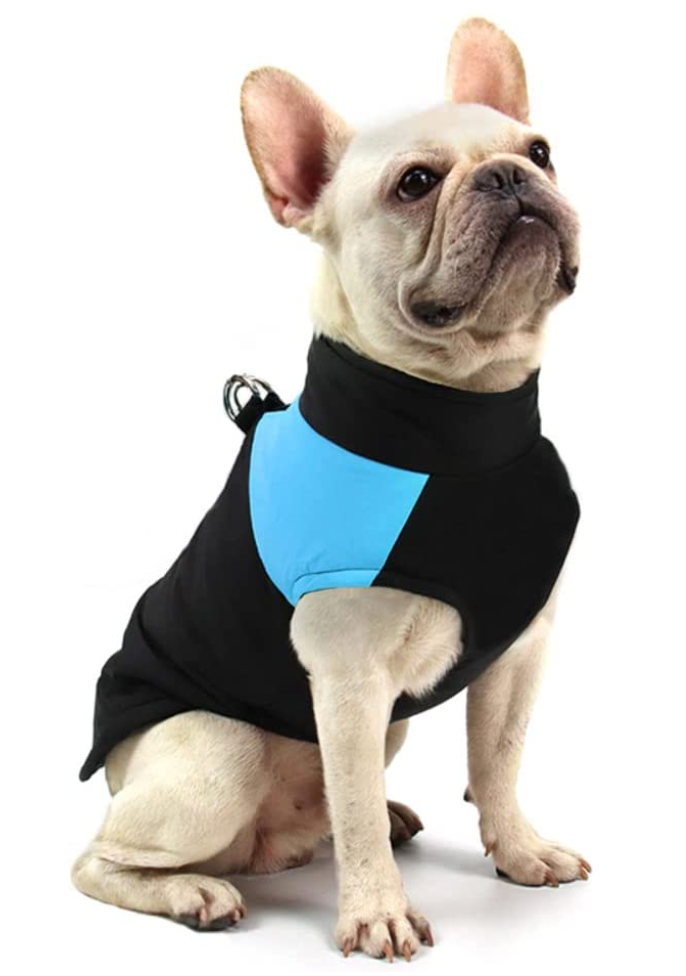 Comfortable Dog Coat - Warm & Waterproof
