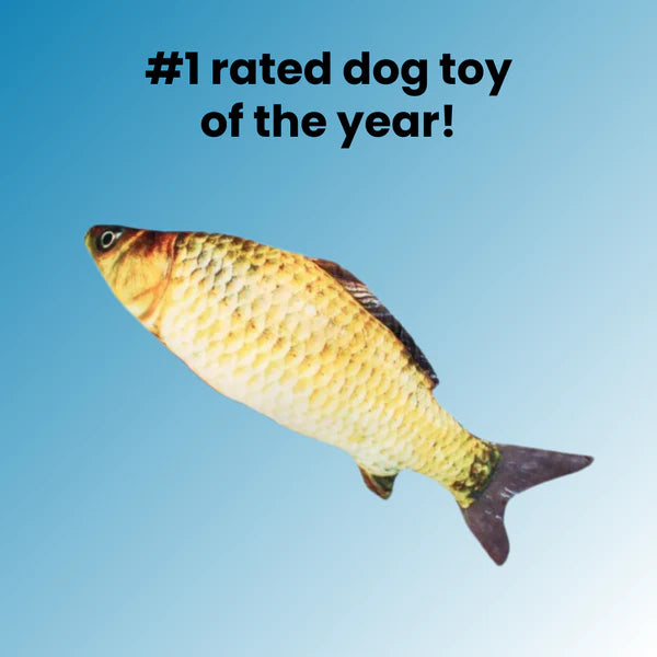 DancingFish Floppy Fish Dog Toy