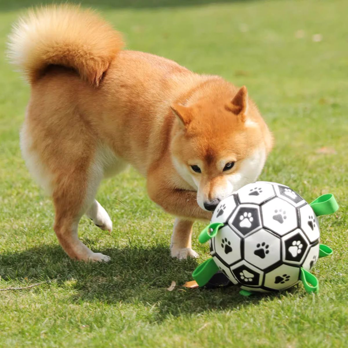 Doggo Ball - Interactive Dog Toy