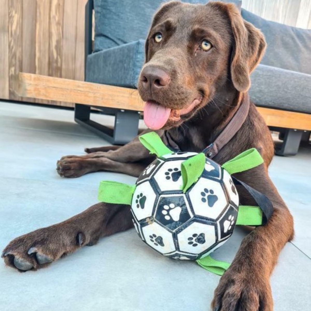 Doggo Ball - Interactive Dog Toy