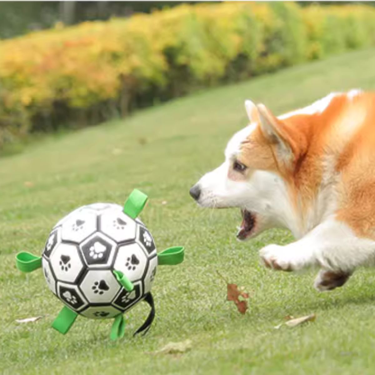 Doggo Ball - Interactive Dog Toy
