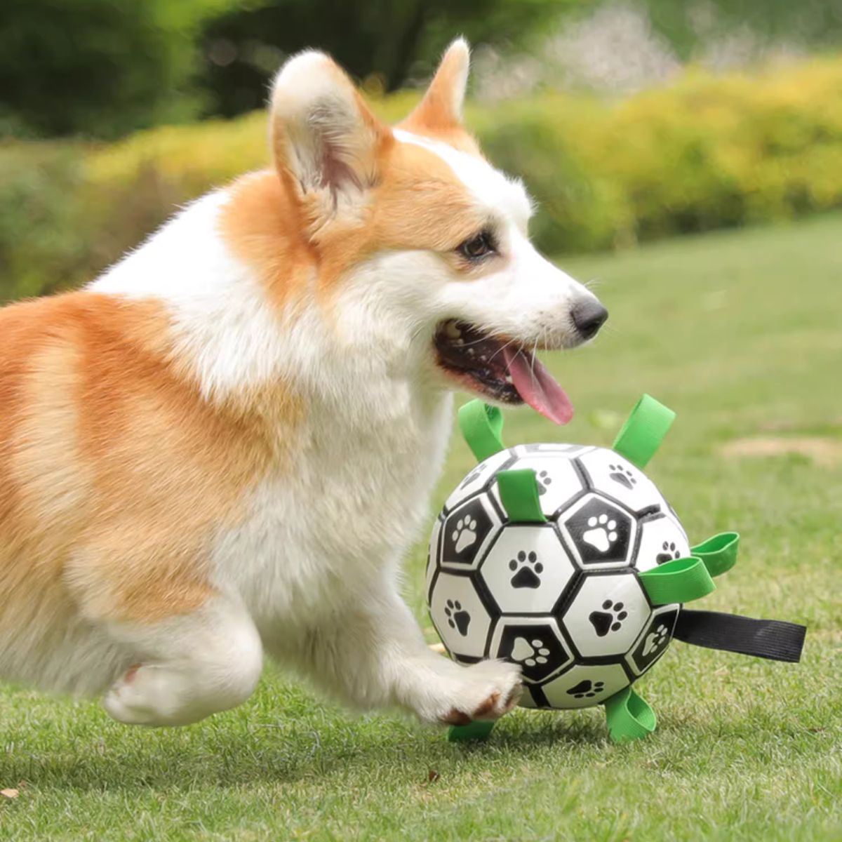 Doggo Ball - Interactive Dog Toy
