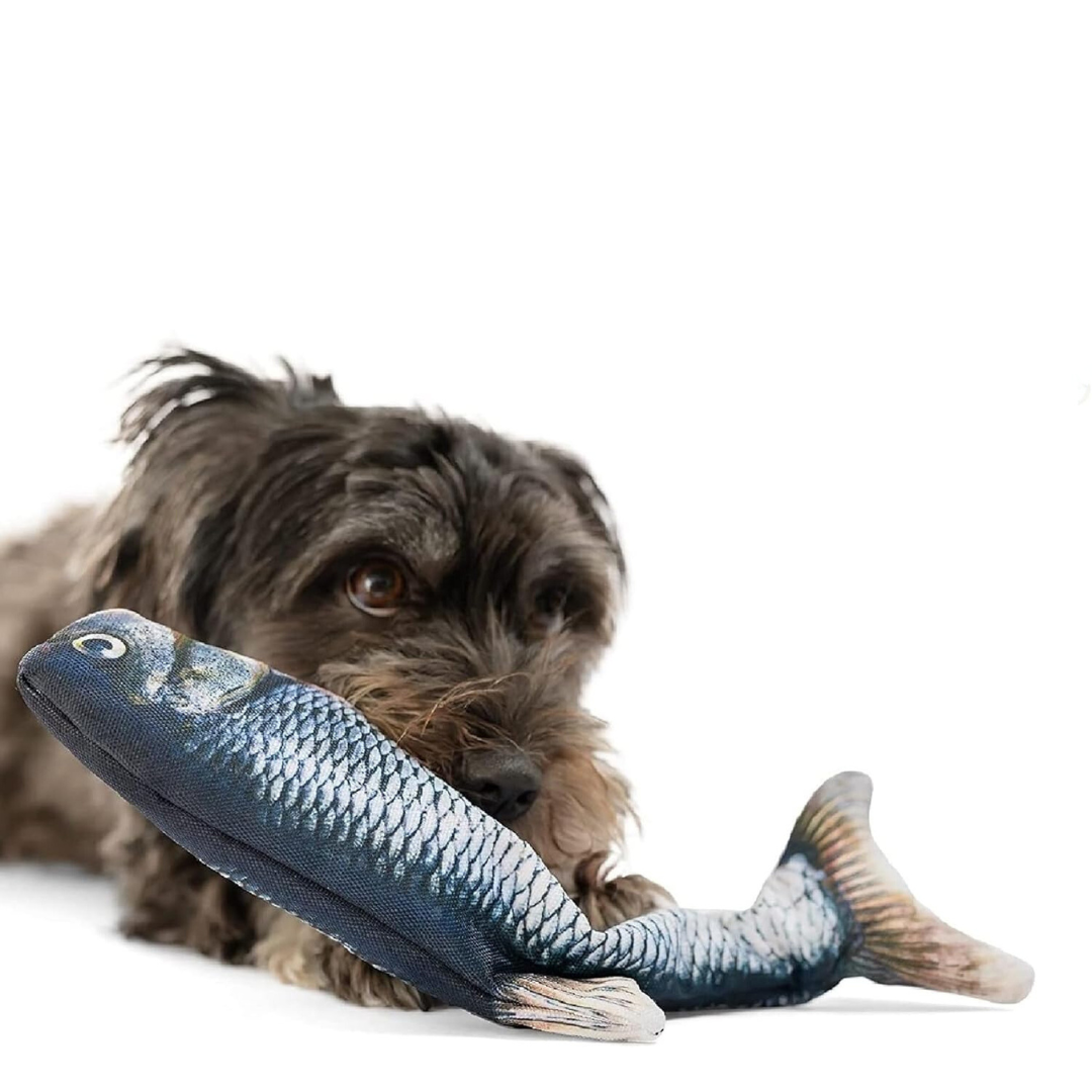 Floppy Fish - Interactive Dog Toy