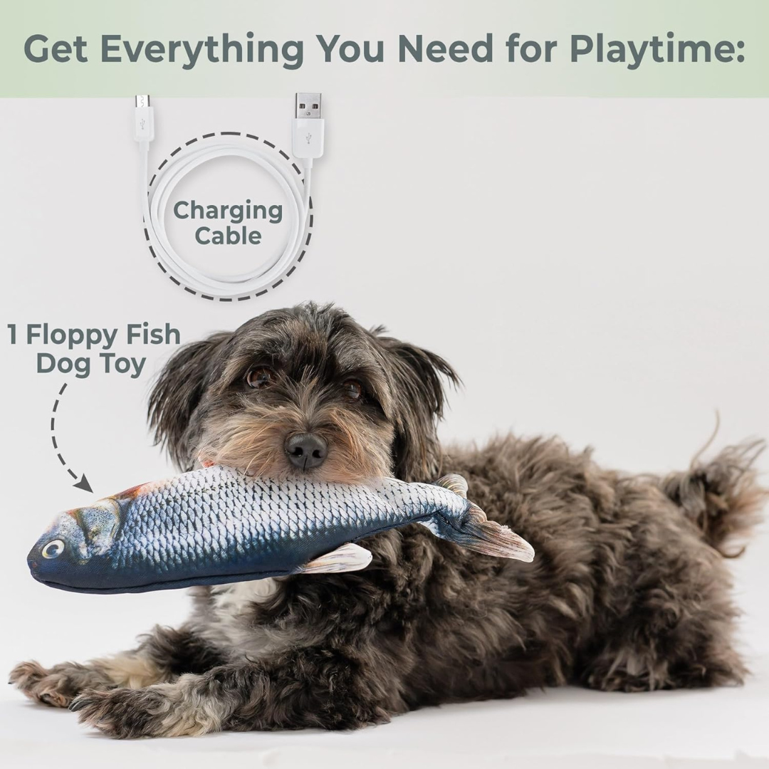 Floppy Fish - Interactive Dog Toy