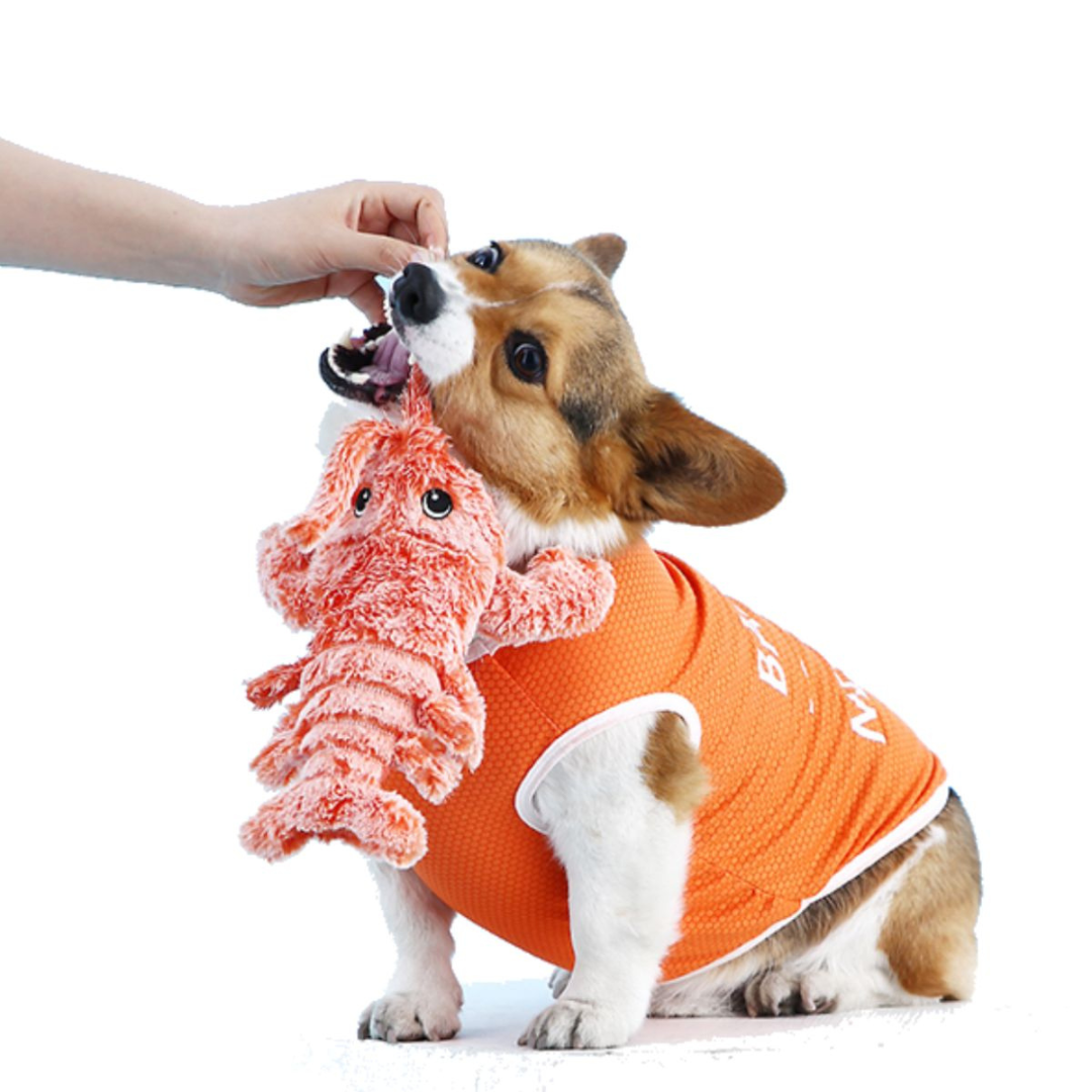 Floppy Lobster - Interactive Dog Toy