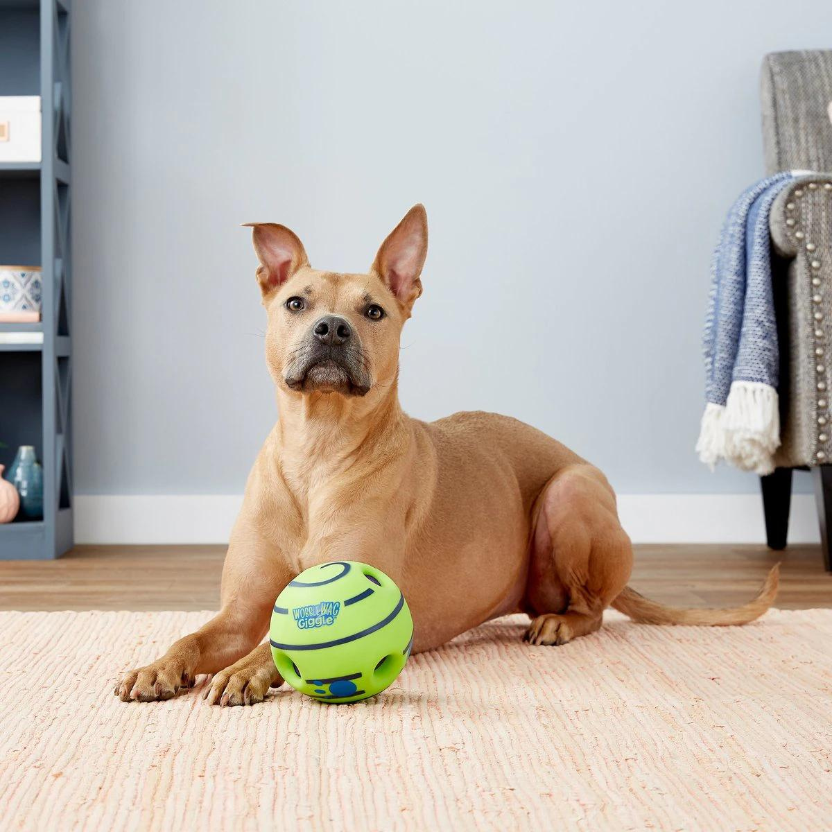 Giggle Ball - Interactive Dog Toy