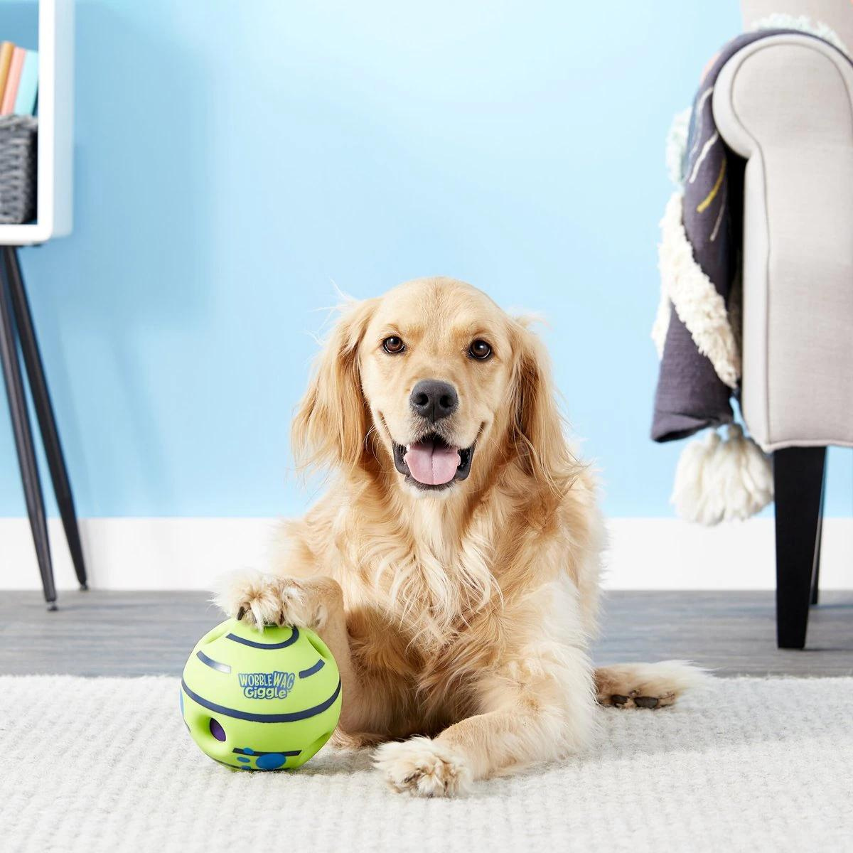 Giggle Ball - Interactive Dog Toy