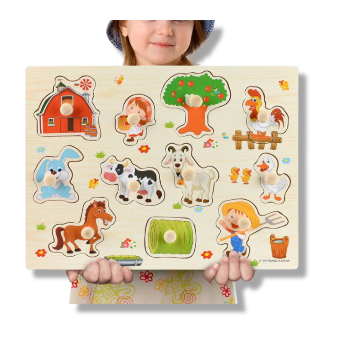 Montessori Wooden Puzzles