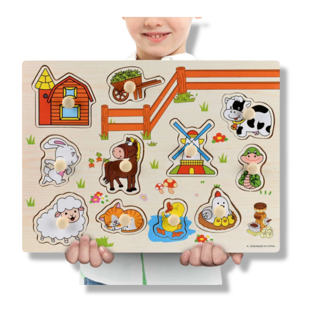 Montessori Wooden Puzzles