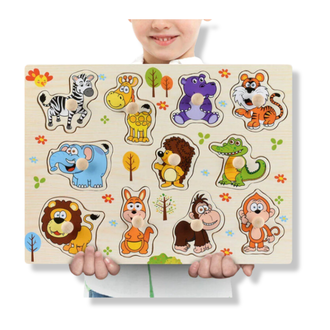 Montessori Wooden Puzzles