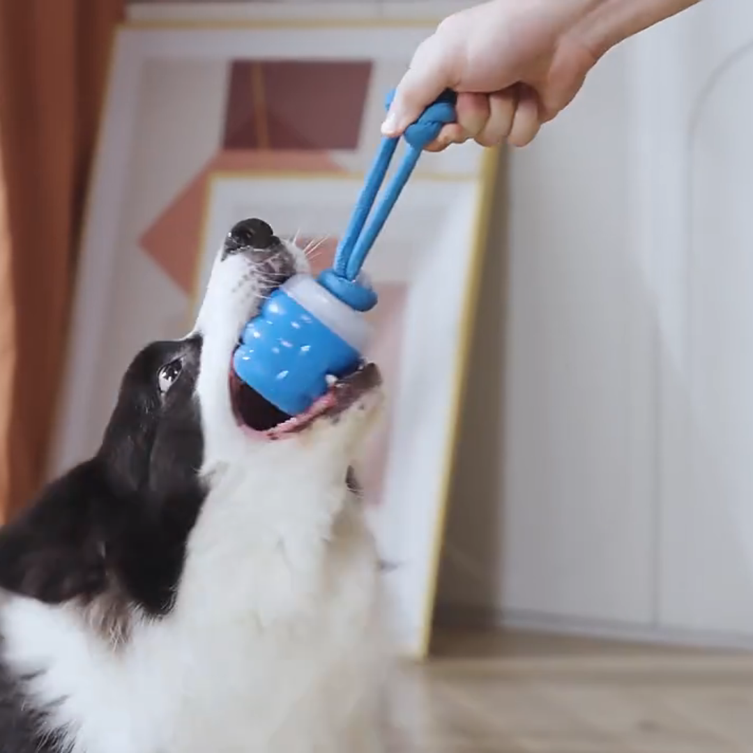Smart Tail - Interactive Dog Toy