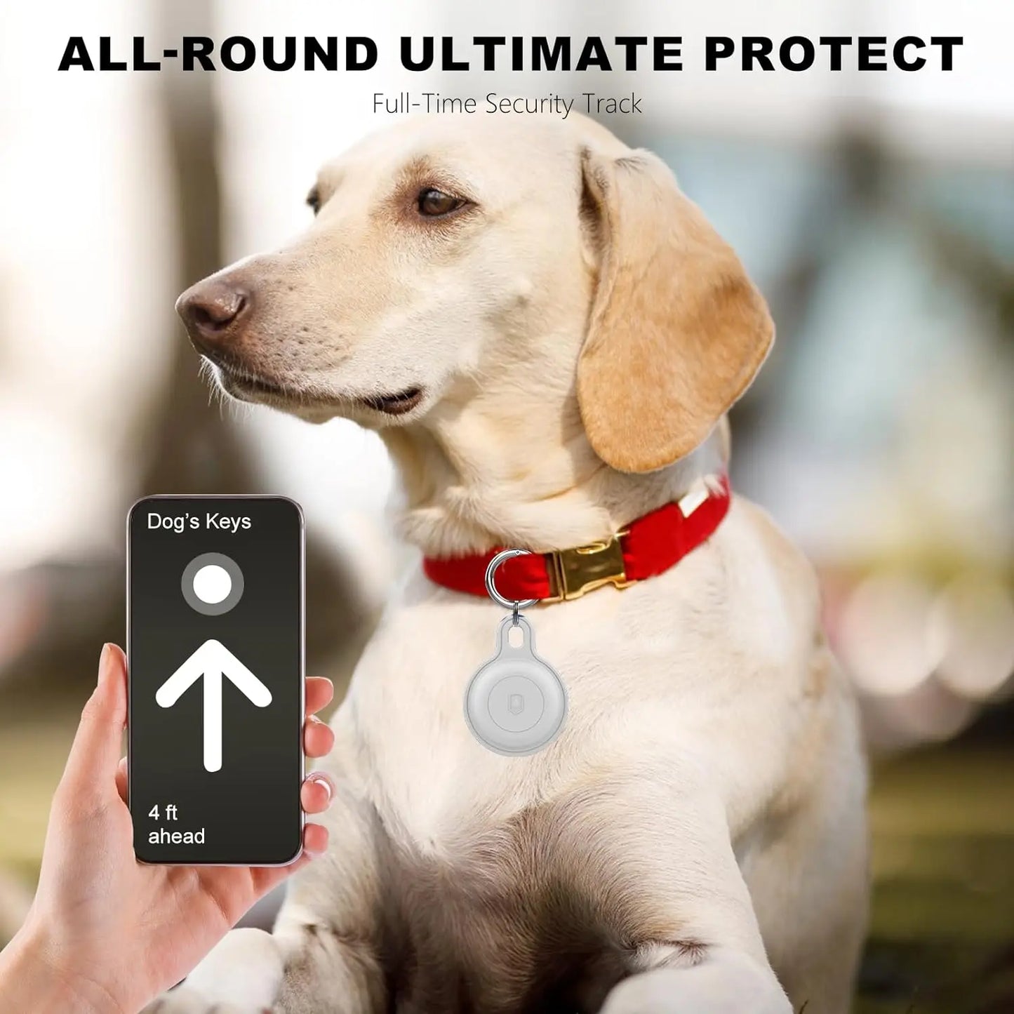 Ziggy Pet Tracker – For carefree adventures