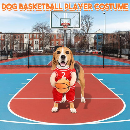 Basketball Dog Costume – For cute sporting moments