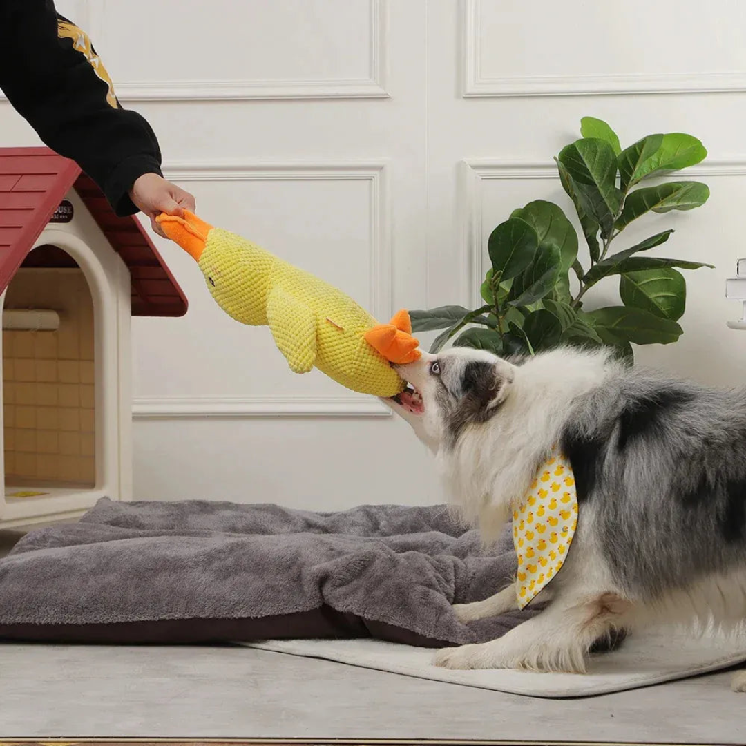 Calming Duck - Interactive Dog Toy