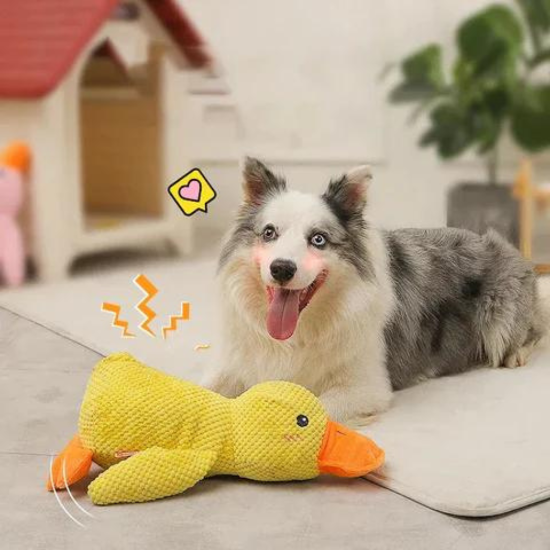 Calming Duck - Interactive Dog Toy