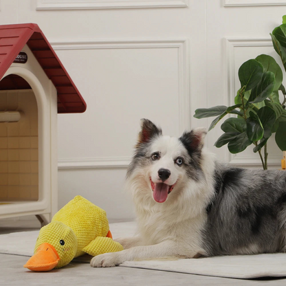 Calming Duck - Interactive Dog Toy
