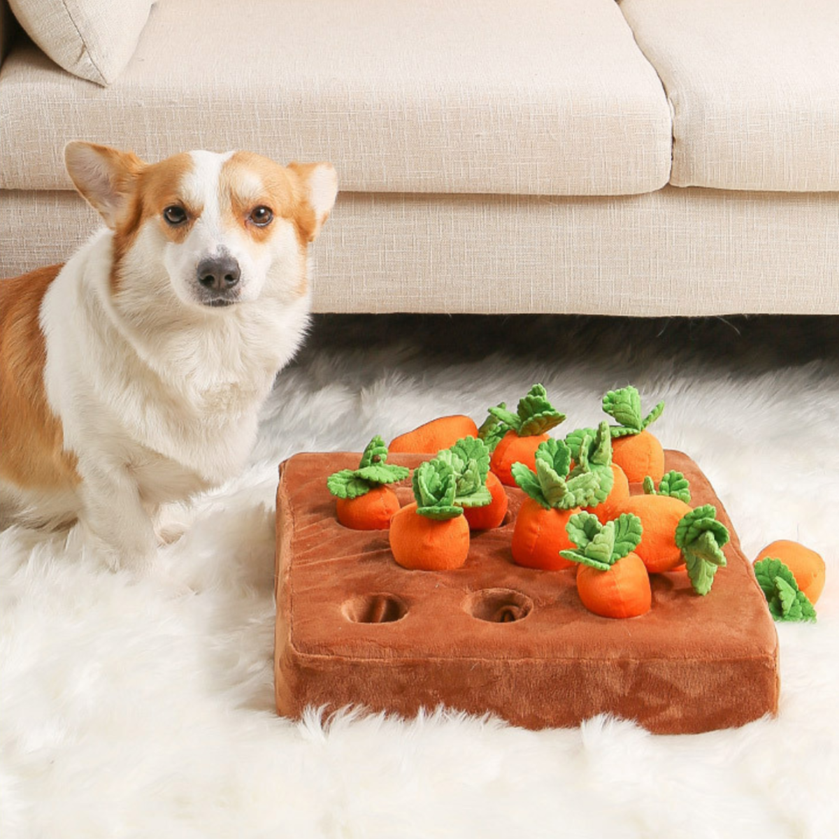 Carrot Garden - Plush Dog Toy