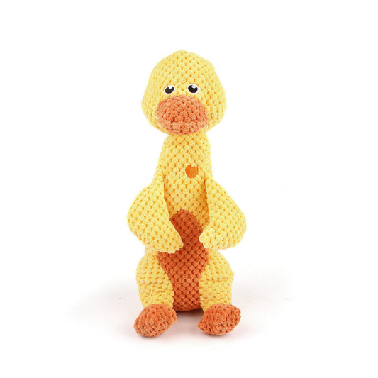 Chewy - Designed for Strong Chewers