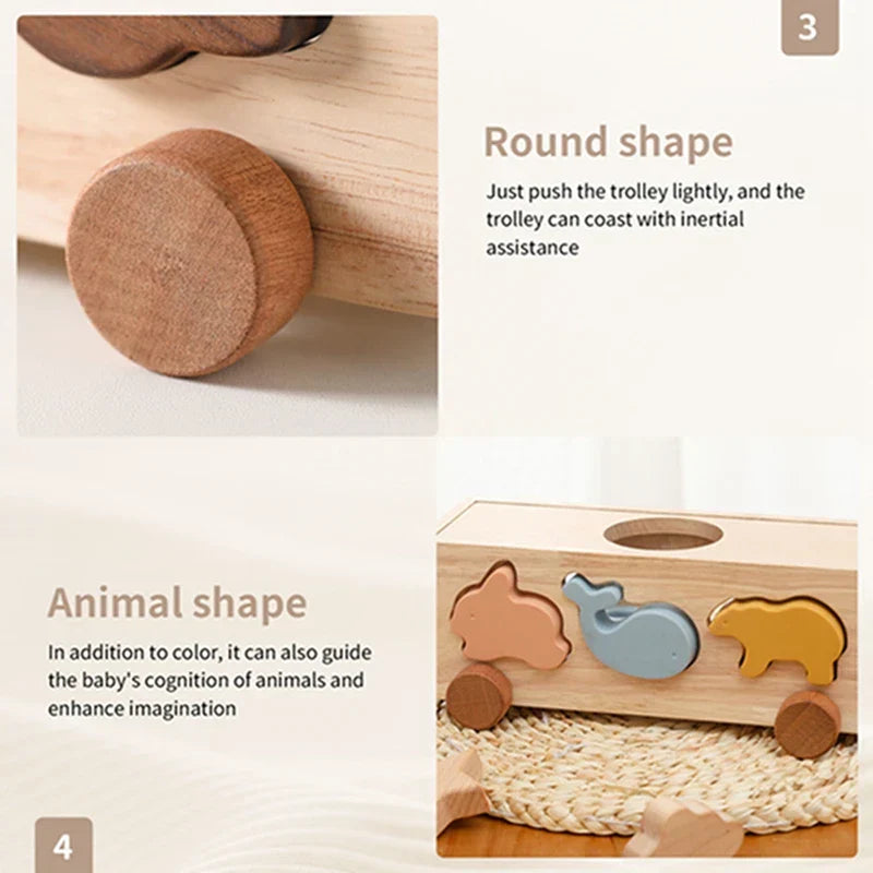 Colorful Shape Set – For creative learning and playing