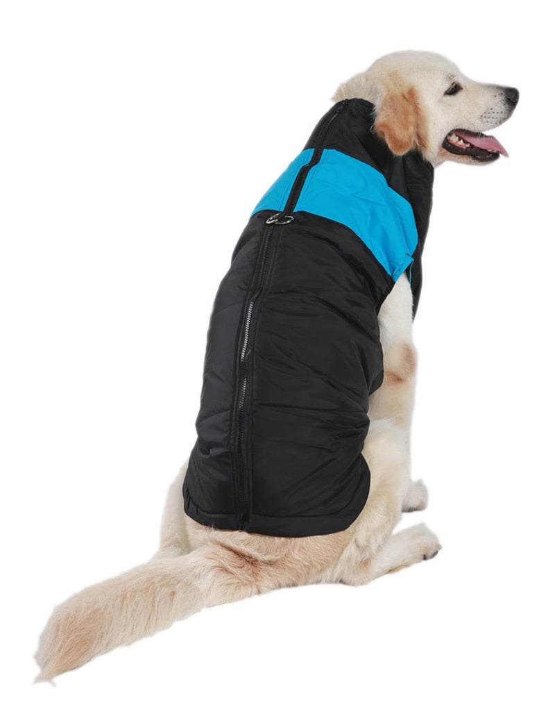 Comfortable Dog Coat - Warm & Waterproof