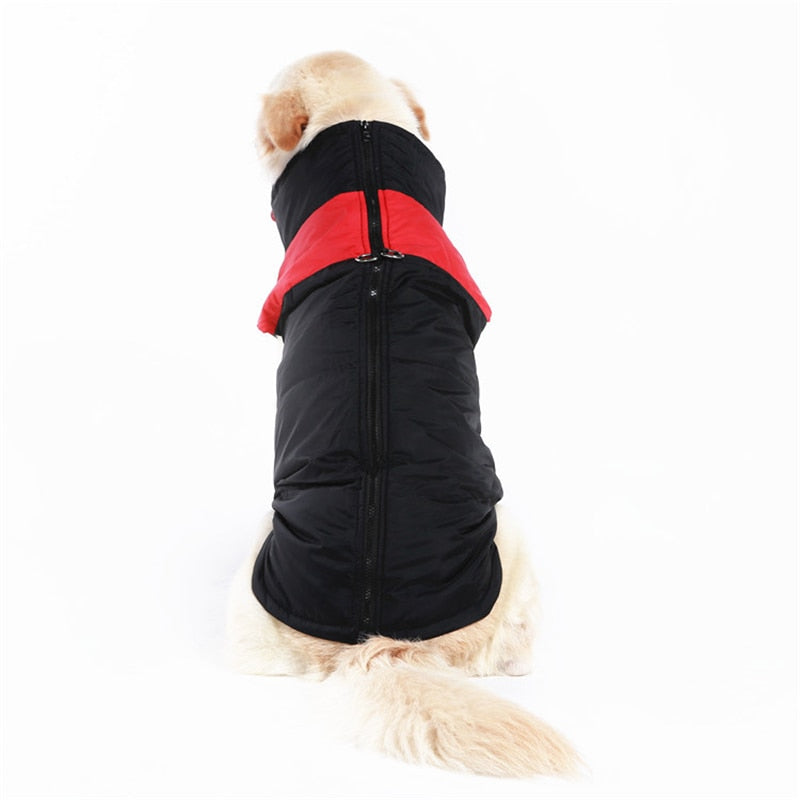 Comfortable Dog Coat - Warm & Waterproof