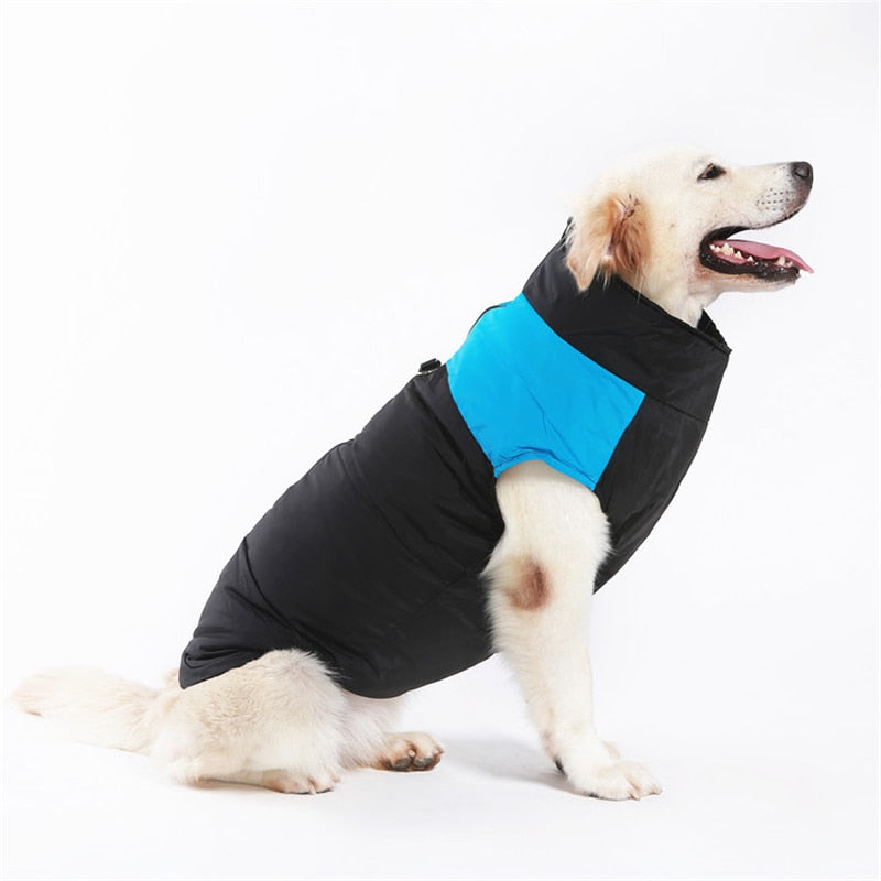 Comfortable Dog Coat - Warm & Waterproof