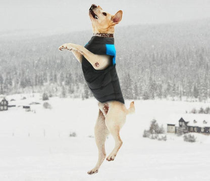 Comfortable Dog Coat - Warm & Waterproof
