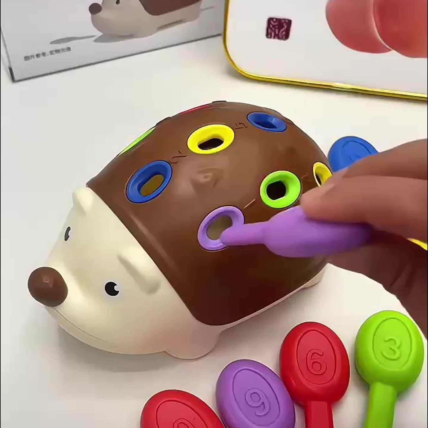Cute Hedgehog Educational Toy - Learn and Play