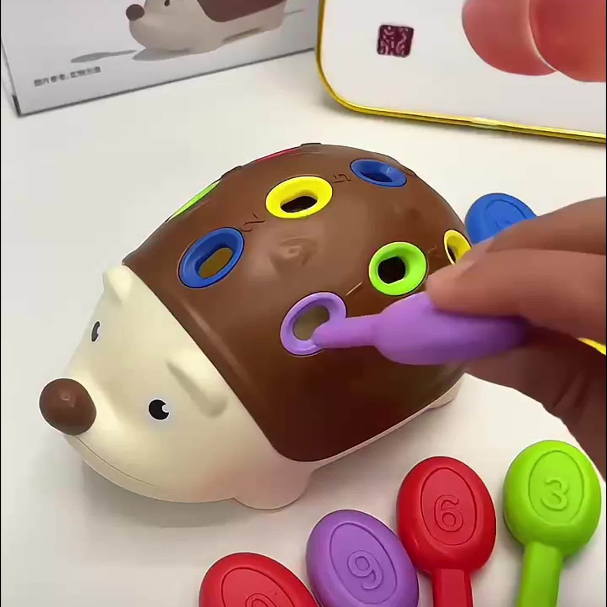 Cute Hedgehog Educational Toy - Learn and Play