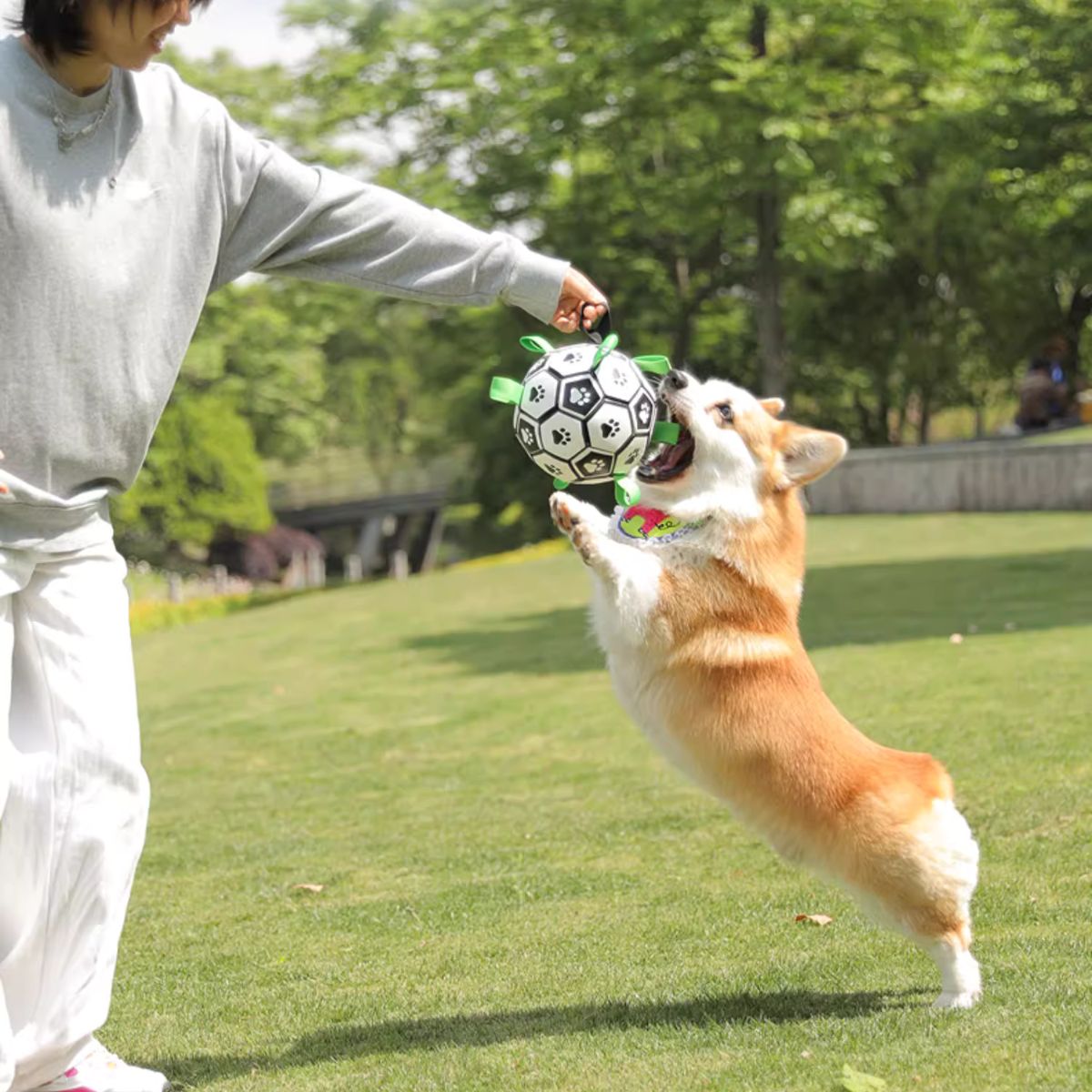 Doggo Ball - Interactive Dog Toy
