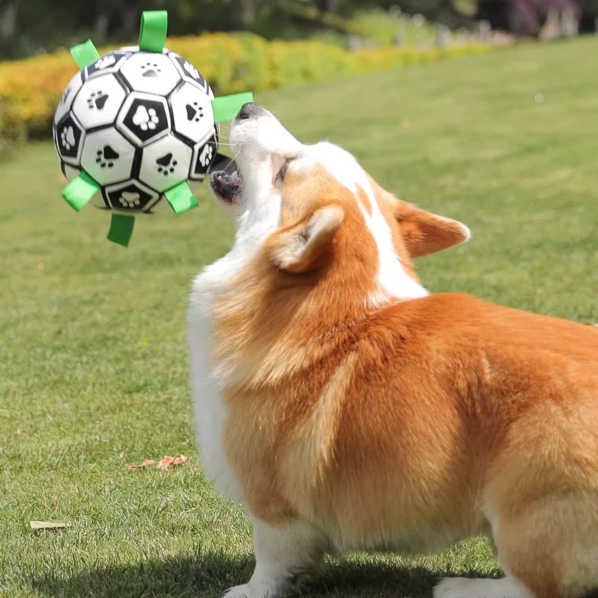 Doggo Ball - Interactive Dog Toy