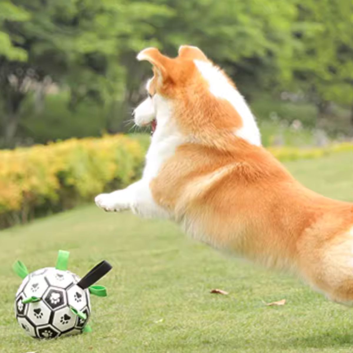 Doggo Ball - Interactive Dog Toy