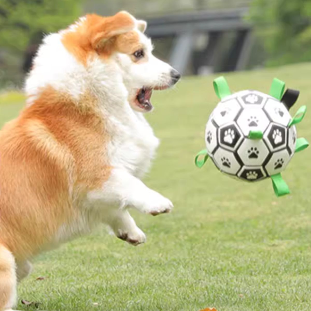 Doggo Ball - Interactive Dog Toy