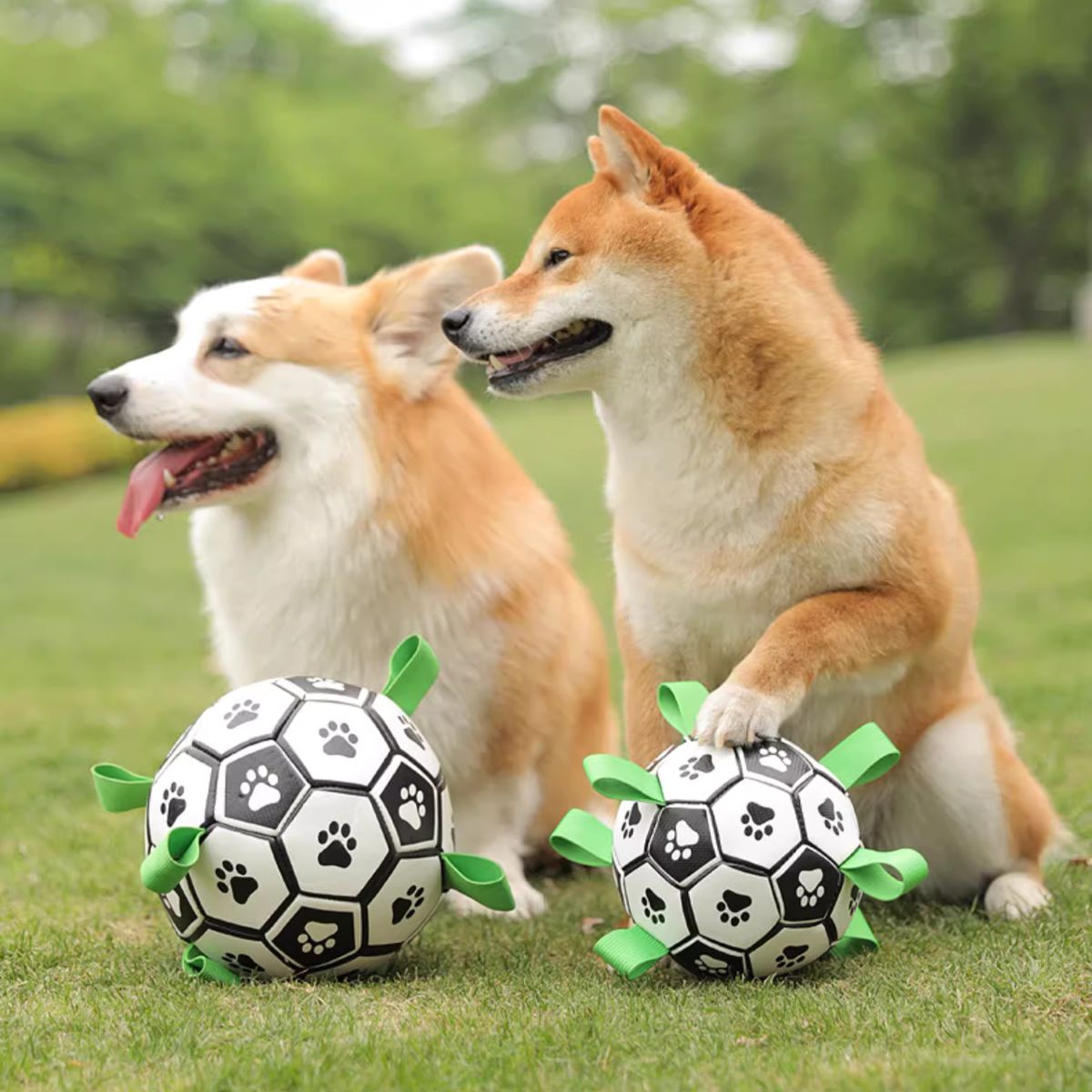 Doggo Ball - Interactive Dog Toy